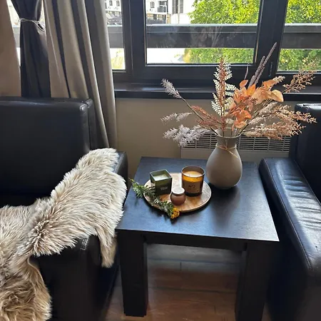 Alpine In Appartement