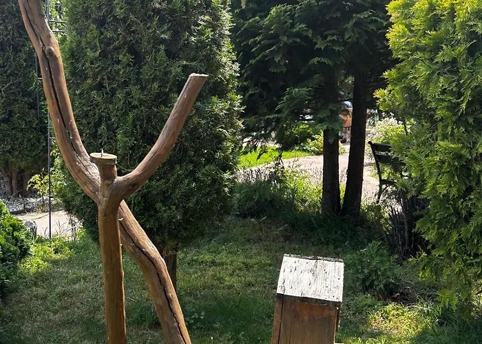 Alpine In バンスコ