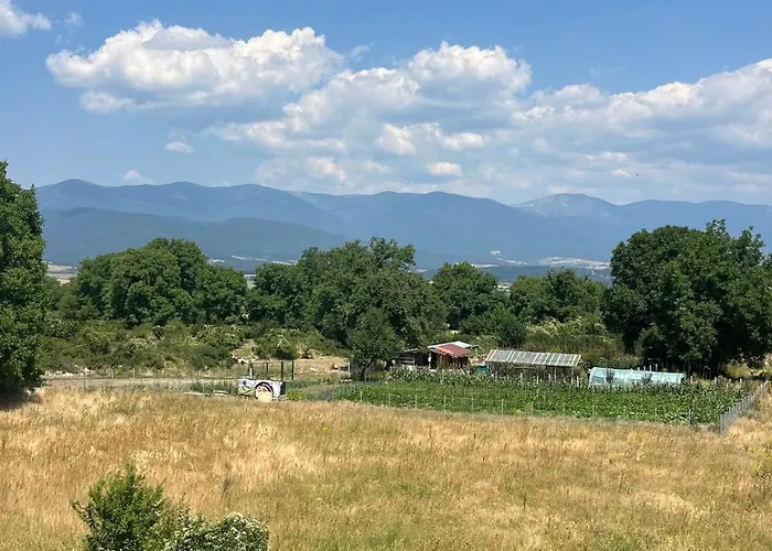 Alpine In バンスコ