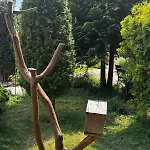 Alpine In 반스코