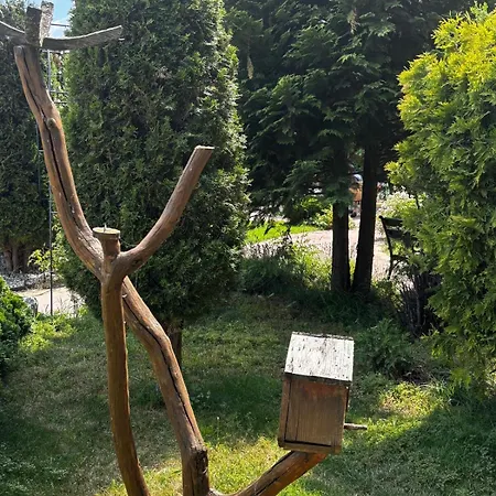 Alpine In バンスコ