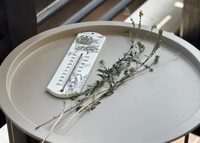 Apartman Alpine In Banszko